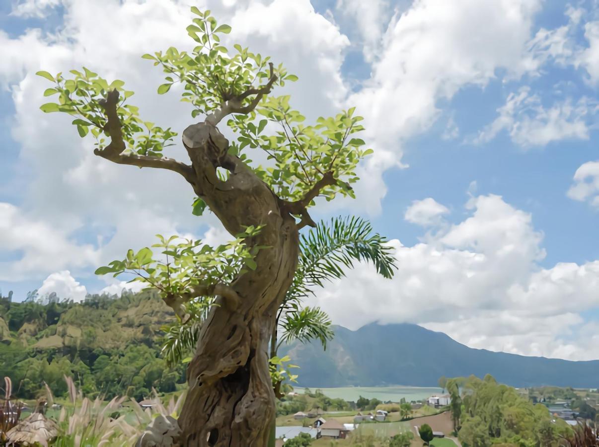 Batur Cliff Panorama Villa Baturaja  Exteriör bild